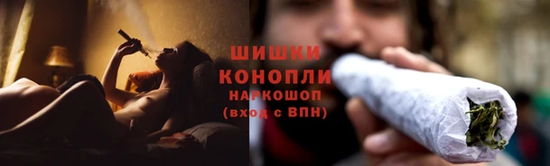 ПСИЛОЦИБИНОВЫЕ ГРИБЫ Алексин