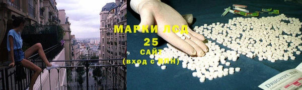 ПСИЛОЦИБИНОВЫЕ ГРИБЫ Алексин
